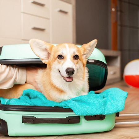 Suites Wytheville Va Ngoại thất bức ảnh